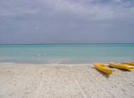 Cayo Coco & Varadero 