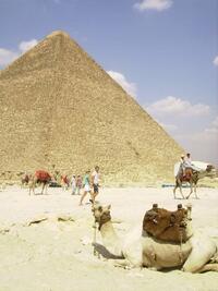 Egipto con todo 2026