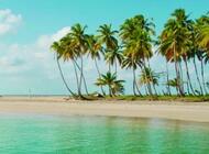 Miches - Verano 2026