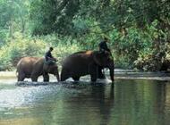 Tailandia al Completo 2026